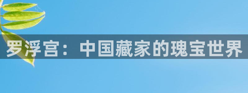 金年会体育平台在线登录:罗浮宫:中国藏家的瑰宝世界